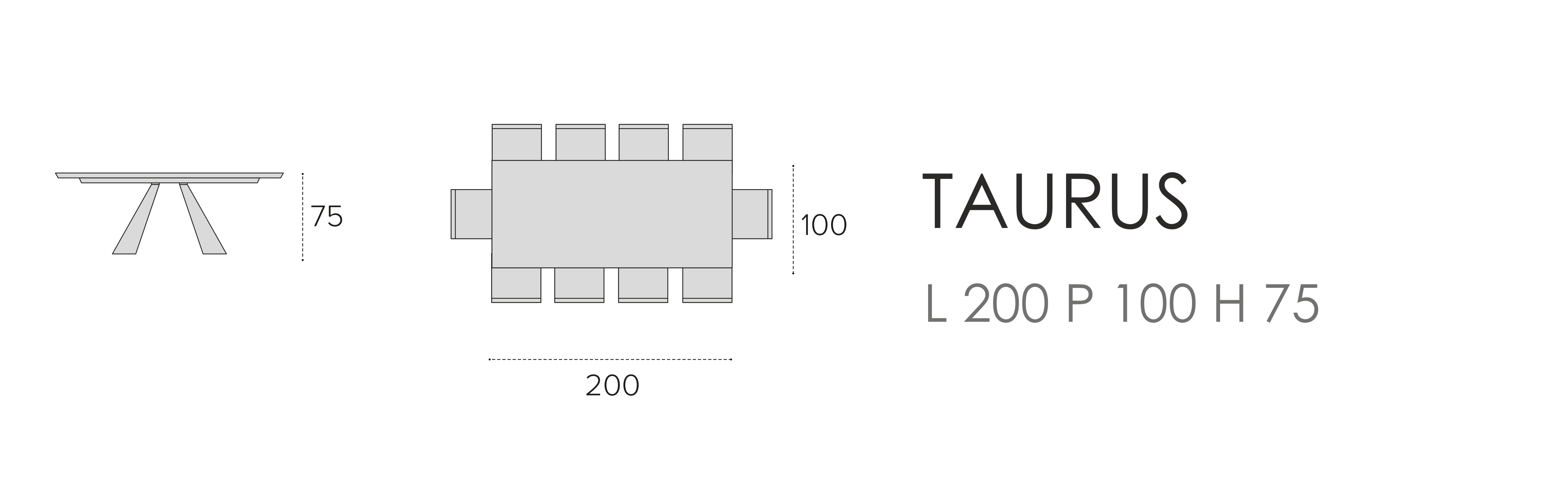 Taurus L 200 P 100 H 75 (прямоугольный)
