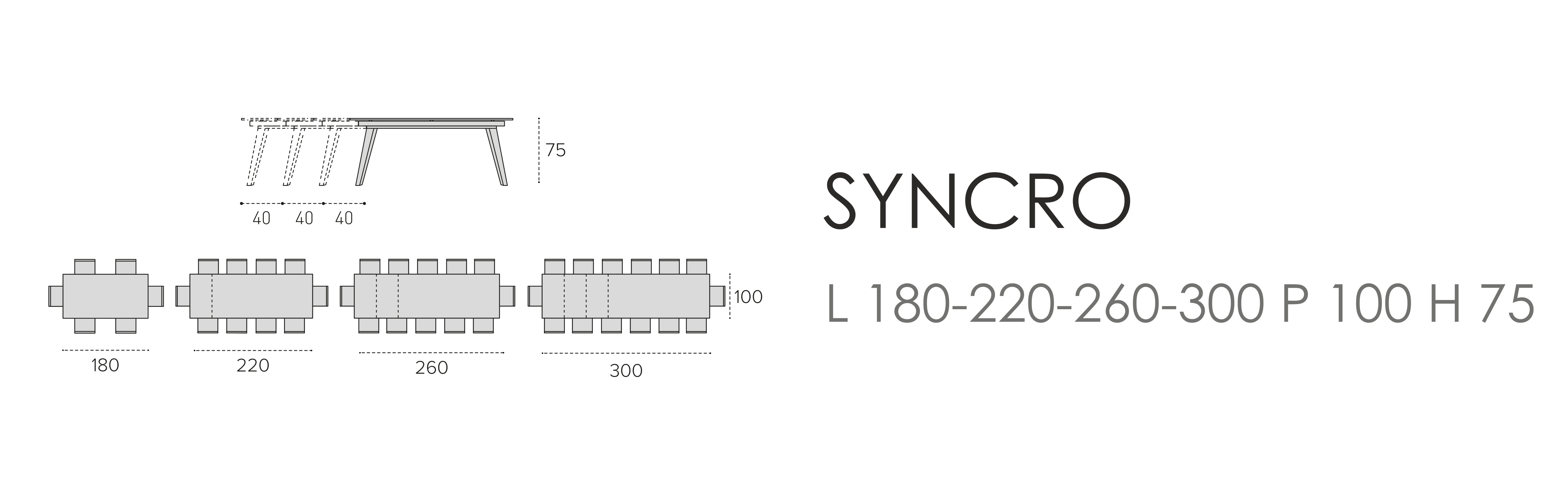 Syncro L 180-220-260-300 P 100 H 75